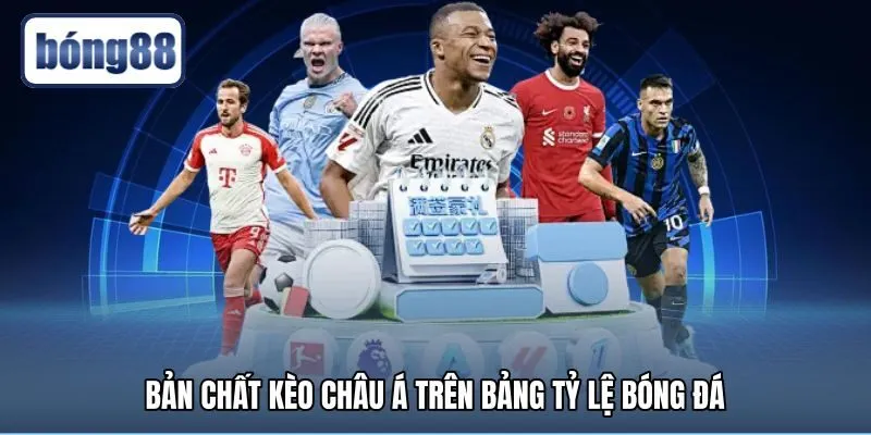 ban-chat-keo-chau-a-tren-bang-ty-le-bong-da Cách đọc kèo châu Á và quy tắc cân bằng tỷ lệ