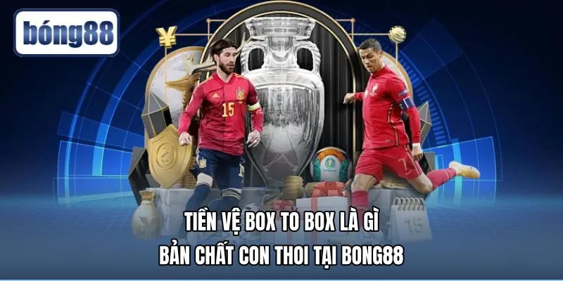 Tiền Vệ Box To Box Là Gì - Bản Chất Con Thoi Tại Bong88